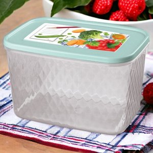 КОНТЕЙНЕР ДЛЯ ЗАМОРАЖИВАНИЯ И ХРАНЕНИЯ ПРОДУКТОВ С ДЕКОРОМ "КРИСТАЛЛ" 1,7Л (Светло-голубой)