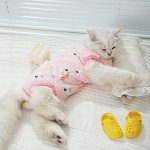 Попоны и бандажи