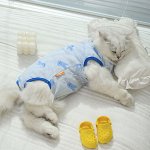 Попона послеоперационная для кошек