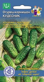 Огурец Кудесник - корнишон