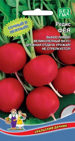 Редис ФЕЯ 2 г. Raphanus sativus
4627104607360
Раннеспелый сорт для открытого и защищенного грунта. Корнеплоды округлые, гладкие, красного цвета, массой 20-30 г. Мякоть белая, сочная, нежная, без гореч