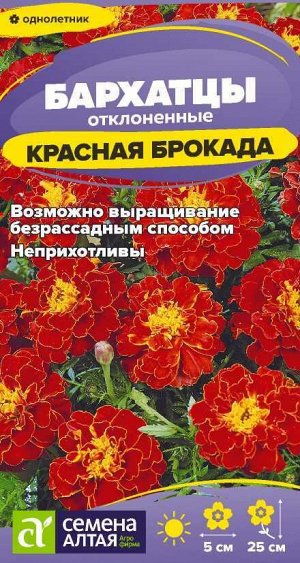 Цветы Бархатцы Красная Брокада махровые/Сем Алт/цп 0,2 гр.