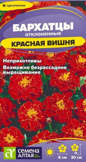 Цветы Бархатцы Красная Вишня/Сем Алт/цп 0,2 гр.