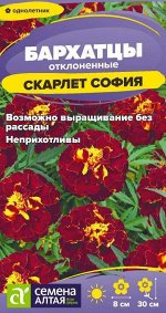 Цветы Бархатцы Скарлет София махровые/Сем Алт/цп 0,2 гр.