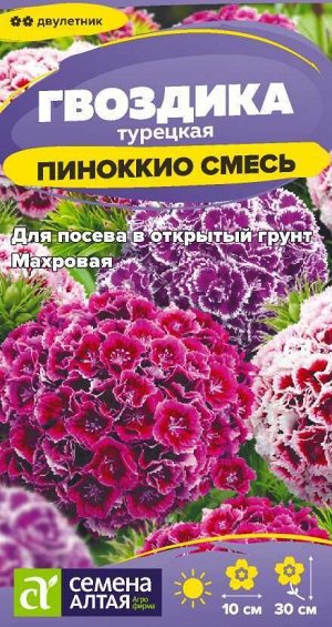 Цветы Гвоздика турецкая Пиноккио/Сем Алт/цп 0,1 гр. двулетник