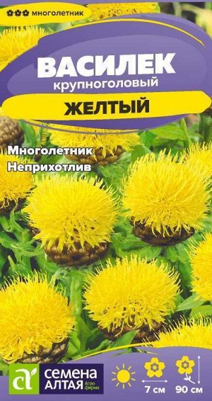 Цветы Василек Желтый Крупноголовый/Сем Алт/цп 0,2 гр. многолетник