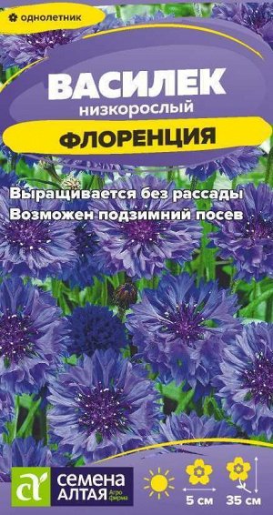Василек Флоренция низкорослый/Сем Алт/цп 0,2 гр.