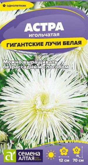 Цветы Астра Гигантские лучи Белая/Сем Алт/цп 0,2 гр.