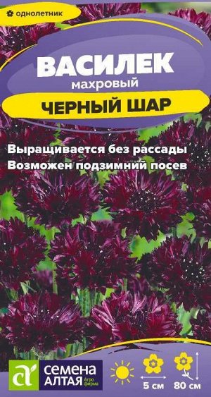 Цветы Василек Черный шар махровый/Сем Алт/цп 0,3 гр.