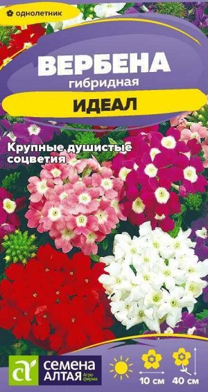 Вербена Идеал гибридная/Сем Алт/цп 0,05гр.