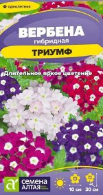 Цветы Вербена Триумф гибридная/Сем Алт/цп 0,1 гр.