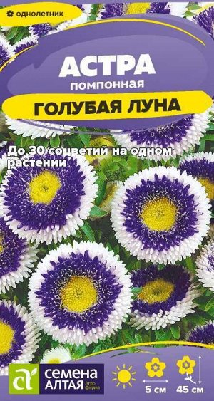 Цветы Астра Голубая Луна помпонная/Сем Алт/цп 0,1 гр.