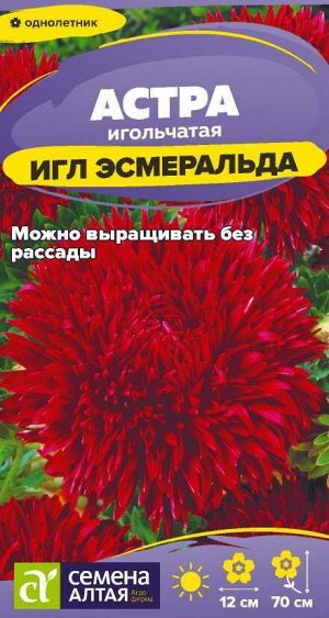 Цветы Астра Игл Эсмеральда/Сем Алт/цп 0,2 гр.