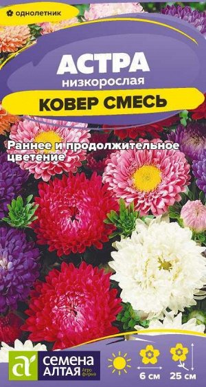 Цветы Астра Ковер Смесь низкорослая/Сем Алт/цп 0,1 гр.