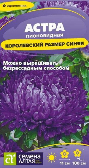 Цветы Астра Королевский размер Синяя/Сем Алт/цп 0,1 гр.