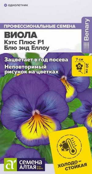 Виола Кэтс Плюс F1 Блю энд Еллоу/Сем Алт/цп 4 шт. НОВИНКА