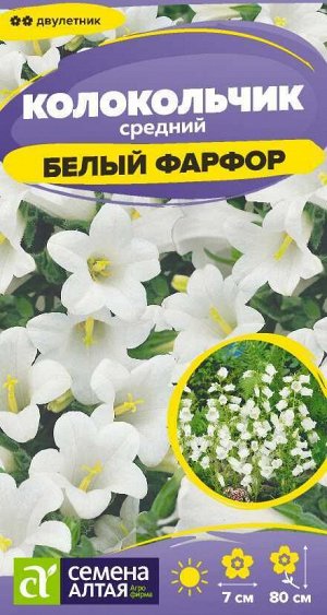 Цветы Колокольчик средний Белый Фарфор/Сем Алт/цп 0,1 гр. двулетник