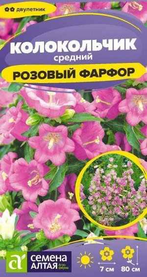 Цветы Колокольчик средний Розовый Фарфор/Сем Алт/цп 0,03 гр. двулетник