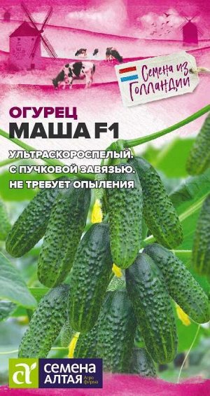 Огурец Маша F1/Сем Алт/цп 5 шт. Seminis (Голландские Семена)