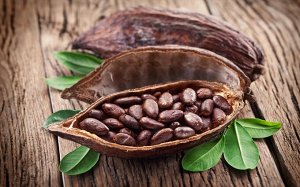 Какао бобы Какао-бобы – плоды, являющиеся основой при производстве не только любимого всеми шоколада, но также какао-масла и жмыха. Ценный продукт, используемый во многих отраслях, особенно полезен дл
