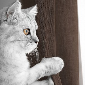 Шторы. Цвет: Шоколад