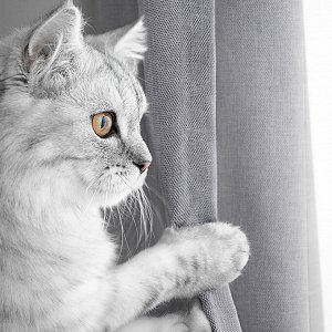 Шторы. Цвет: Базальт