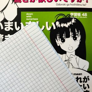 Тетрадь 48л., КЛЕТКА, А5АЛЬТ скоба, матовая ламинация, MANGA ANIME,  1 шт, 7-48-1241