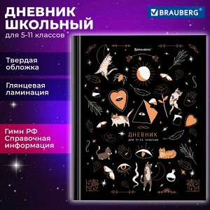 Дневник школьный 5-11 класс 48л, твердый, BRAUBERG, глянцевая ламинация, с подсказом, Astro cats, 106868