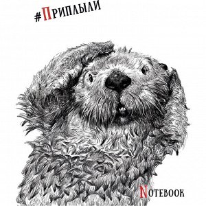 Тетрадь 48л., КЛЕТКА, А5, ПЗБМ скоба, Soft Touch, выборочный лак, Черно-белые звери (5 видов), 027941