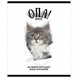 Тетрадь 48л., КЛЕТКА, А5 ПЗБМ скоба, выборочный TWIN лак, "ОПА!", 1 шт, 28664