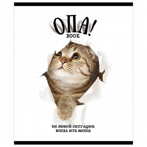 Тетрадь 48л., КЛЕТКА, А5 ПЗБМ скоба, выборочный TWIN лак, "ОПА!", 1 шт, 28664