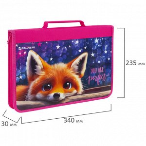 Папка на молнии BRAUBERG А4 с ручкой, с органайзером, 1 отделение, Cute fox, 272217