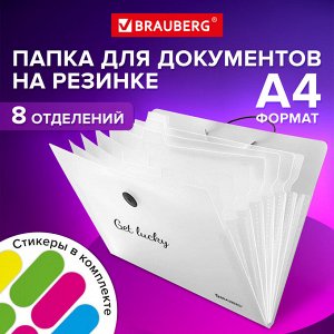 Папка-органайзер на резинке 8 отделений, BRAUBERG Glassy, А4, прозрачная, 271928