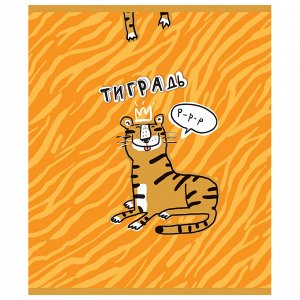 Тетрадь 48л., КЛЕТКА, А5ПЗБМ скоба, фольга, конгрев, TWIN лак, Тиградь, 1 шт, 029135