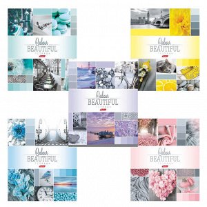 Тетрадь 96л., КЛЕТКА, А5 HATBER скоба,обложка картон, BEAUTIFUL COLOURE, 1 шт., 96Т5В1