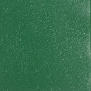 Тетрадь 96л., КЛЕТКА, бумвинил А5 скоба, офсет №1, с полями, STAFF, ЗЕЛЕНЫЙ, 403417