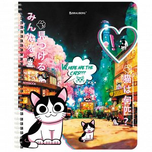 Тетрадь 80л, А5, КЛЕТКА, BRAUBERG гребень, клетка, обложка картон, Anime Cats (микс в спайке), 1 шт, 404415