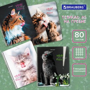 Тетрадь 80л, А5, КЛЕТКА BRAUBERG гребень, глянцевая ламинация, Довольные Коты, 1 шт,404417