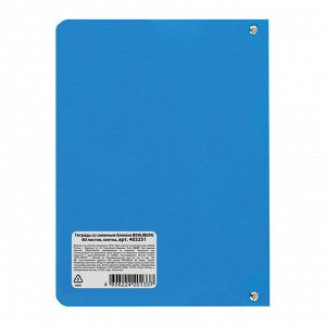 Тетрадь на кольцах 80л, КЛЕТКА, А5 160х215мм,пластик, BRAUBERG, Голубой, 403251