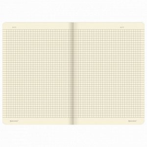 Тетрадь 40л, КЛЕТКА, A5 (147х210мм)  сшивка, SoftTouch, 70г/м, ENJOY THE MOMENT, BRAUBERG, 403766