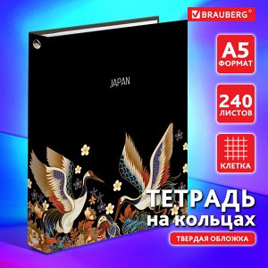 Тетрадь на кольцах 240л, клетка, А5 175х215мм, твердый картон, BRAUBERG, Идиллия, 404095