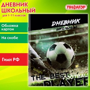 Дневник школьный 1-11 класс 40л, на скобе, ПИФАГОР, обложка картон, Футбол, 106817
