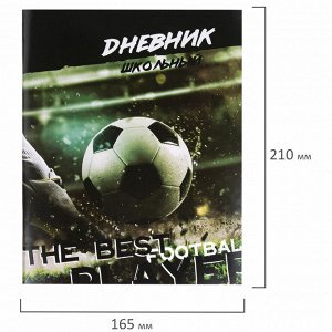 Дневник школьный 1-11 класс 40л, на скобе, ПИФАГОР, обложка картон, Футбол, 106817