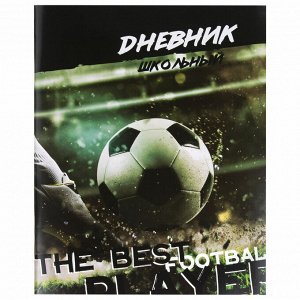Дневник школьный 1-11 класс 40л, на скобе, ПИФАГОР, обложка картон, Футбол, 106817