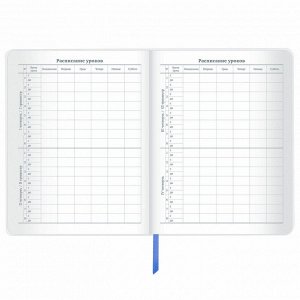 Дневник школьный 1-11 класс 48л, кожзам (гибкая), печать, фольга, BRAUBERG, Россия, 106175