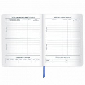Дневник школьный 1-11 класс 48л, кожзам (гибкая), печать, фольга, BRAUBERG, Россия, 106175
