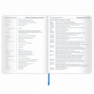 Дневник школьный 1-11 класс 48л, кожзам (гибкая), печать, фольга, BRAUBERG, Россия, 106175