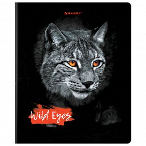 Тетрадь 48л., КЛЕТКА, А5BRAUBERG скоба, выборочный лак, Wild eyes, 1 шт,  404343