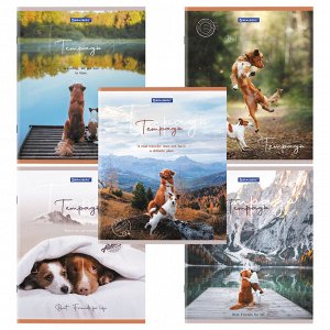 Тетрадь 48л., КЛЕТКА, А5BRAUBERG скоба, обложка картон, Best Friends, 1 шт, 404360