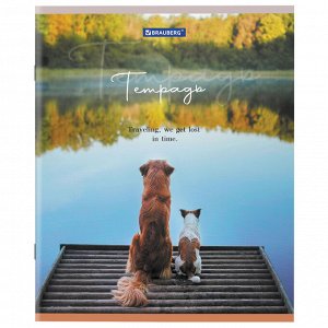 Тетрадь 48л., КЛЕТКА, А5BRAUBERG скоба, обложка картон, Best Friends, 1 шт, 404360
